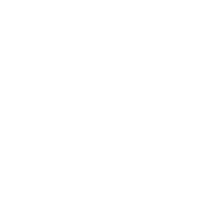 Developer Logo